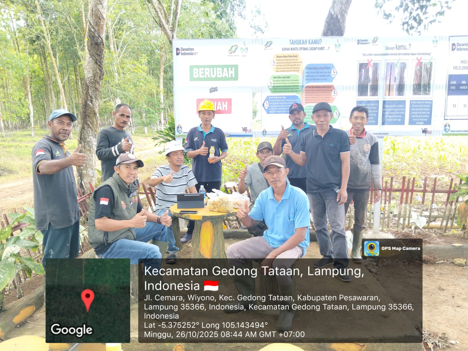 Perbaikan Stasiun Penerimaan Lateks Afdeling II Field 2008 Dukung Peningkatan Produksi di PTPN I Regional 7 Kebun Way Berulu