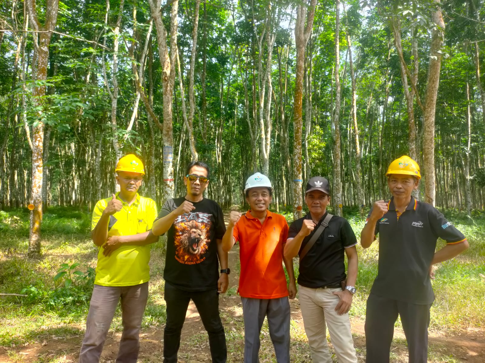 Perbaikan STL Afdeling III Tahun Tanam 2013, Tingkatkan Kualitas Penerimaan Lateks di PTPN I Regional 7 Kebun Way Berulu