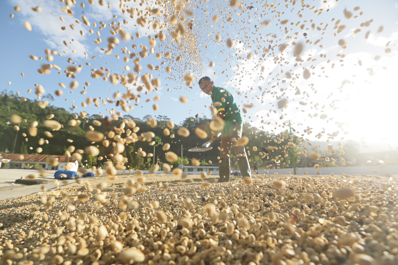 KRISIS KALIGEDANG: Ribuan Buruh Terancam, BRK Terkikis, dan Stabilitas Bondowoso Diuji