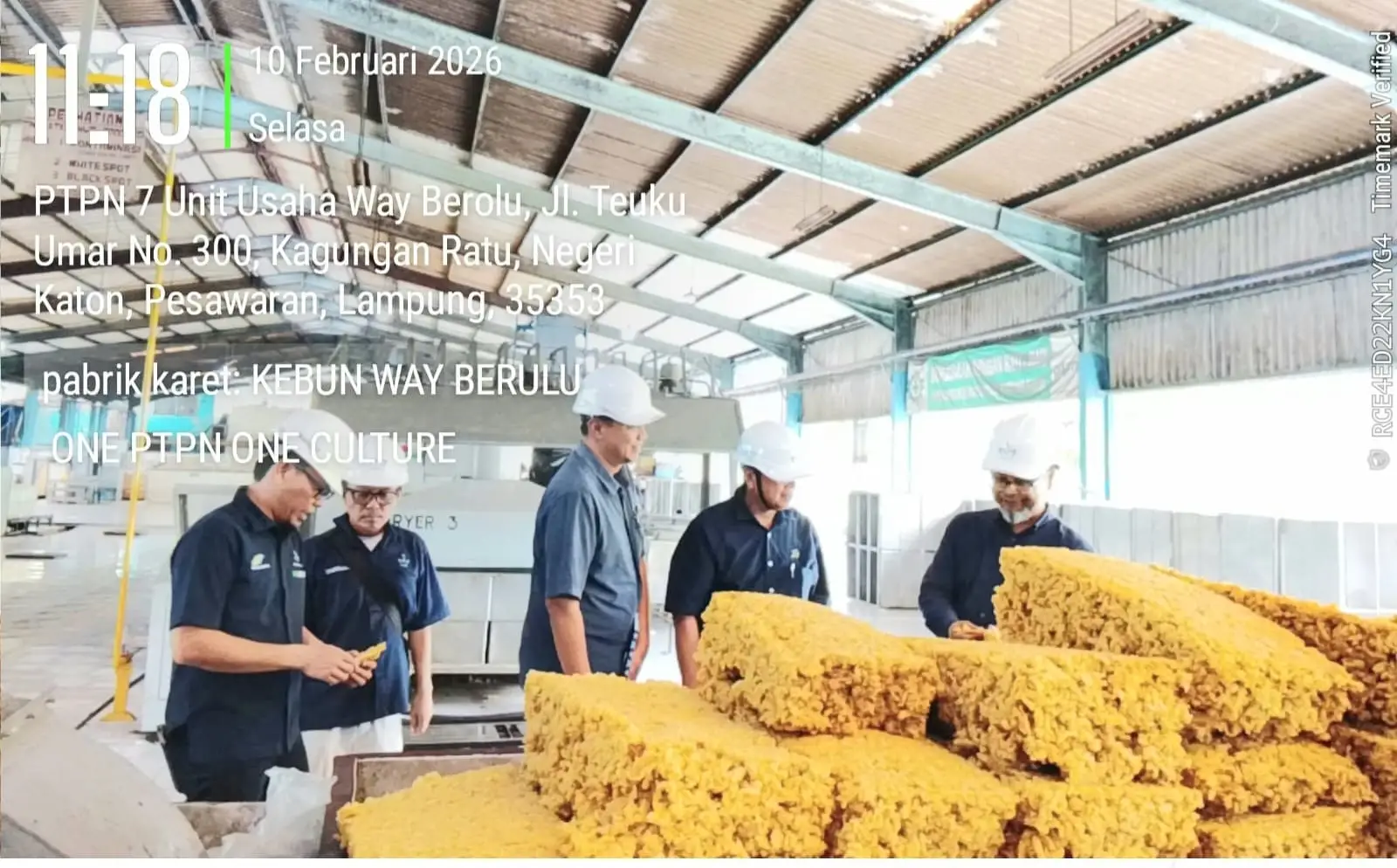 Operation Head dan Kabag TTP Tinjau Kebun Way Berulu, Perkuat Optimalisasi Produksi dan Mutu Pabrik SIR 3L