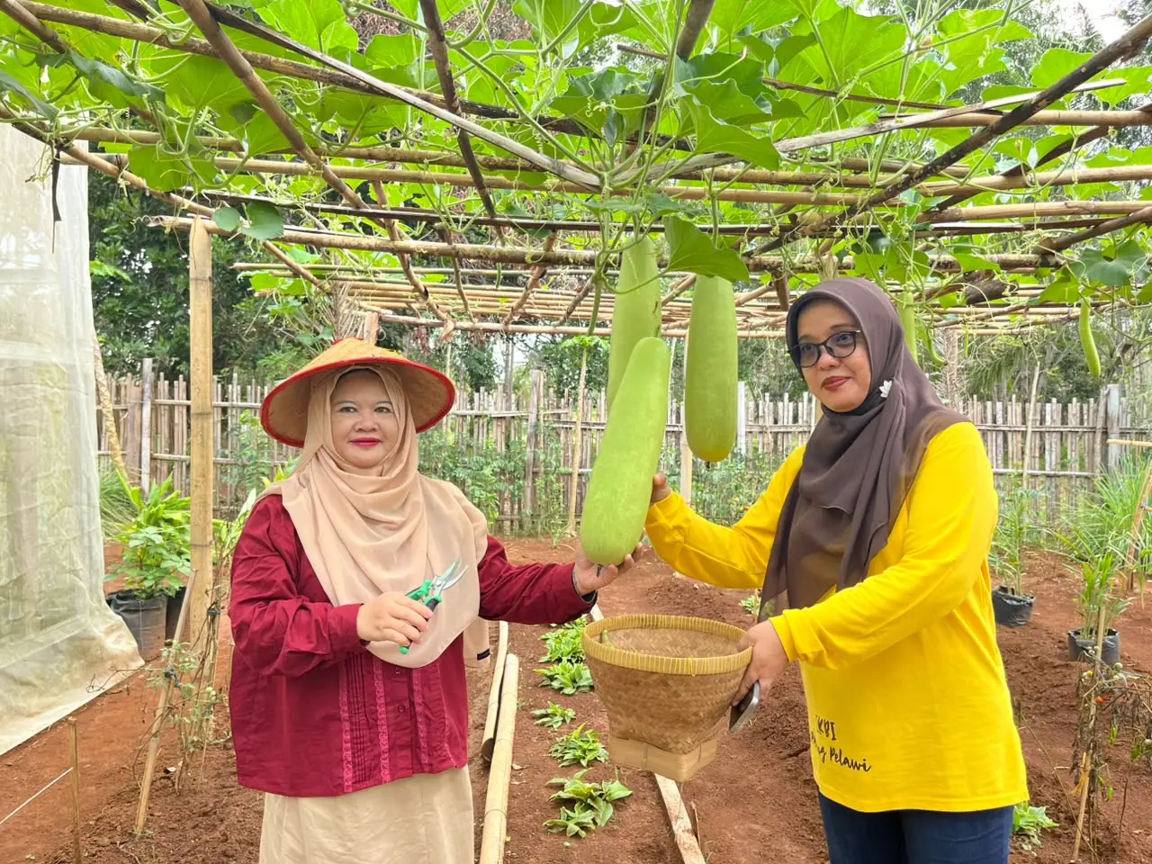 IKBI PTPN I Regional 7 Perkuat Budaya Hidup Bersih dan Sehat Melalui Penilaian Rumah Sehat di Kebun Padang Pelawi